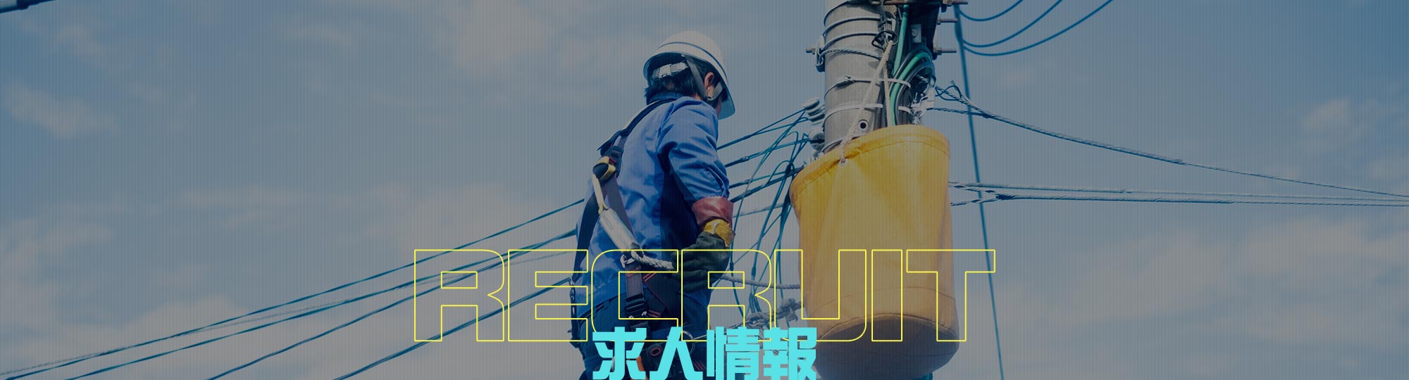 求人情報